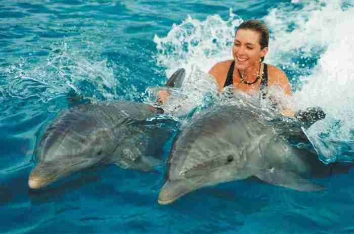 PLaying with Dolphins in Goa